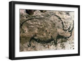 Rhinoceros, Upper Paleolithic-null-Framed Giclee Print