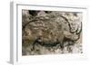 Rhinoceros, Upper Paleolithic-null-Framed Giclee Print