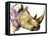 Rhinoceros Watercolor. African Animal Hand Drawn Illustration.-Faenkova Elena-Framed Stretched Canvas