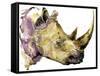 Rhinoceros Watercolor. African Animal Hand Drawn Illustration.-Faenkova Elena-Framed Stretched Canvas