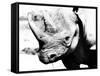 Rhinoceros-Gordon Semmens-Framed Stretched Canvas