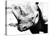 Rhinoceros-Gordon Semmens-Stretched Canvas