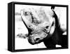 Rhinoceros-Gordon Semmens-Framed Stretched Canvas