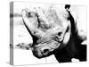 Rhinoceros-Gordon Semmens-Stretched Canvas