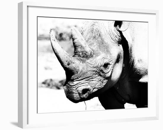 Rhinoceros-Gordon Semmens-Framed Photographic Print