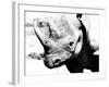 Rhinoceros-Gordon Semmens-Framed Photographic Print