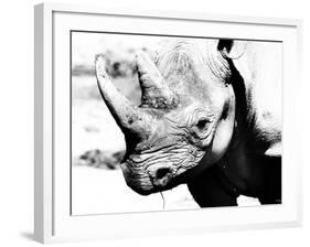 Rhinoceros-Gordon Semmens-Framed Photographic Print