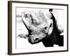 Rhinoceros-Gordon Semmens-Framed Photographic Print