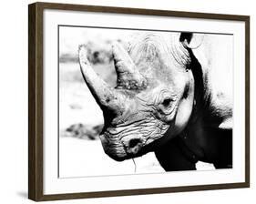 Rhinoceros-Gordon Semmens-Framed Photographic Print