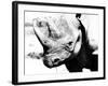 Rhinoceros-Gordon Semmens-Framed Photographic Print