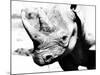 Rhinoceros-Gordon Semmens-Mounted Photographic Print