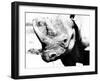 Rhinoceros-Gordon Semmens-Framed Photographic Print