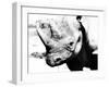 Rhinoceros-Gordon Semmens-Framed Photographic Print