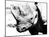 Rhinoceros-Gordon Semmens-Mounted Photographic Print