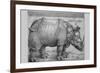 Rhinoceros-Albrecht Dürer-Framed Art Print