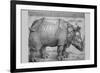 Rhinoceros-Albrecht Dürer-Framed Art Print