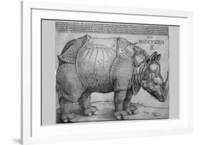 Rhinoceros-Albrecht Dürer-Framed Premium Giclee Print