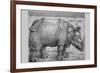 Rhinoceros-Albrecht Dürer-Framed Premium Giclee Print