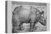 Rhinoceros-Albrecht Dürer-Stretched Canvas