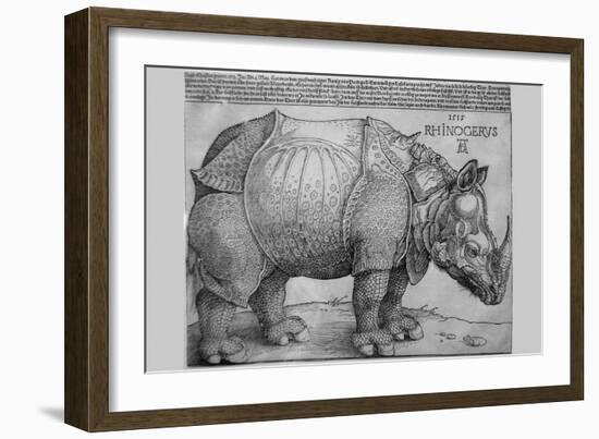 Rhinoceros-Albrecht Dürer-Framed Art Print