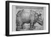 Rhinoceros-Albrecht Dürer-Framed Art Print