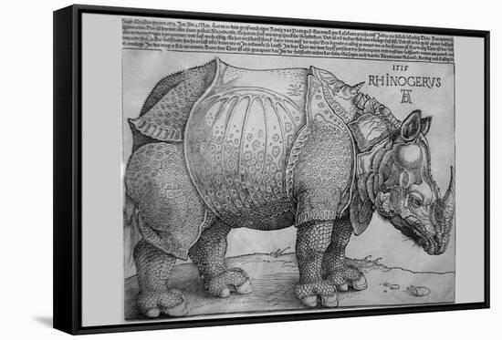 Rhinoceros-Albrecht Dürer-Framed Stretched Canvas