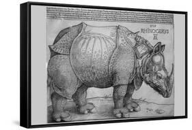 Rhinoceros-Albrecht Dürer-Framed Stretched Canvas