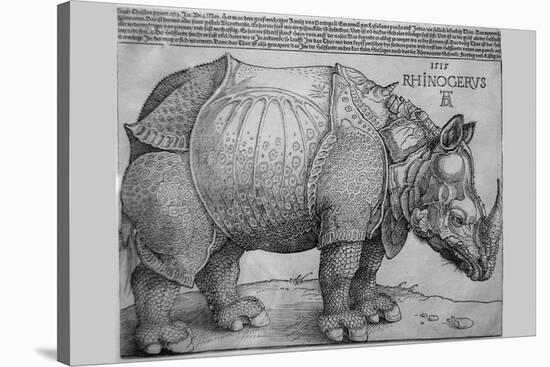 Rhinoceros-Albrecht Dürer-Stretched Canvas