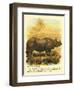 Rhinoceros-null-Framed Art Print