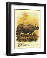 Rhinoceros-null-Framed Art Print