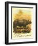 Rhinoceros-null-Framed Art Print