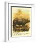 Rhinoceros-null-Framed Art Print