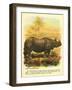 Rhinoceros-null-Framed Art Print
