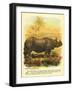 Rhinoceros-null-Framed Art Print