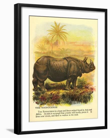 Rhinoceros-null-Framed Art Print