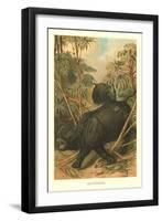 Rhinoceros-null-Framed Art Print