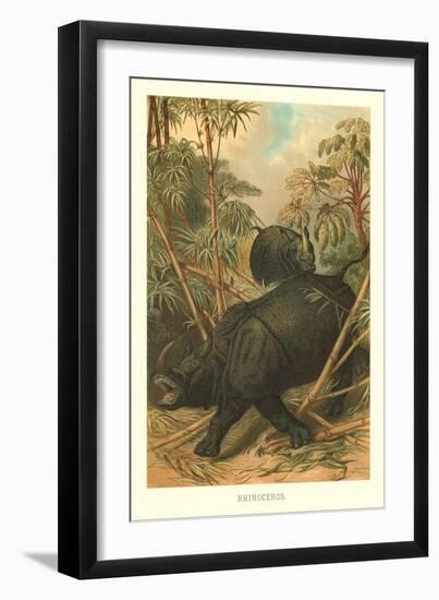 Rhinoceros-null-Framed Art Print