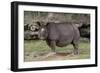 Rhinoceros-Carol Highsmith-Framed Art Print