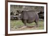 Rhinoceros-Carol Highsmith-Framed Art Print