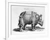 Rhinocerous, No. 76 from "Historia Animalium" by Conrad Gesner (1516-65) Published in July 1815-Albrecht Dürer-Framed Giclee Print