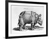 Rhinocerous, No. 76 from "Historia Animalium" by Conrad Gesner (1516-65) Published in July 1815-Albrecht Dürer-Framed Giclee Print