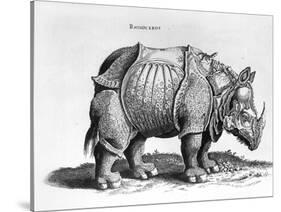 Rhinocerous, No. 76 from "Historia Animalium" by Conrad Gesner (1516-65) Published in July 1815-Albrecht Dürer-Stretched Canvas