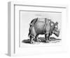 Rhinocerous, No. 76 from "Historia Animalium" by Conrad Gesner (1516-65) Published in July 1815-Albrecht Dürer-Framed Giclee Print