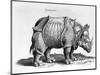 Rhinocerous, No. 76 from "Historia Animalium" by Conrad Gesner (1516-65) Published in July 1815-Albrecht Dürer-Mounted Giclee Print