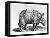 Rhinocerous, No. 76 from "Historia Animalium" by Conrad Gesner (1516-65) Published in July 1815-Albrecht Dürer-Framed Stretched Canvas