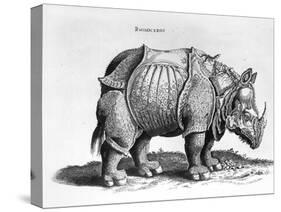 Rhinocerous, No. 76 from "Historia Animalium" by Conrad Gesner (1516-65) Published in July 1815-Albrecht Dürer-Stretched Canvas