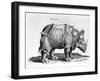 Rhinocerous, No. 76 from "Historia Animalium" by Conrad Gesner (1516-65) Published in July 1815-Albrecht Dürer-Framed Giclee Print