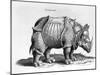 Rhinocerous, No. 76 from "Historia Animalium" by Conrad Gesner (1516-65) Published in July 1815-Albrecht Dürer-Mounted Giclee Print