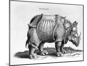 Rhinocerous, No. 76 from "Historia Animalium" by Conrad Gesner (1516-65) Published in July 1815-Albrecht Dürer-Mounted Giclee Print