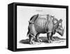 Rhinocerous, No. 76 from "Historia Animalium" by Conrad Gesner (1516-65) Published in July 1815-Albrecht Dürer-Framed Stretched Canvas